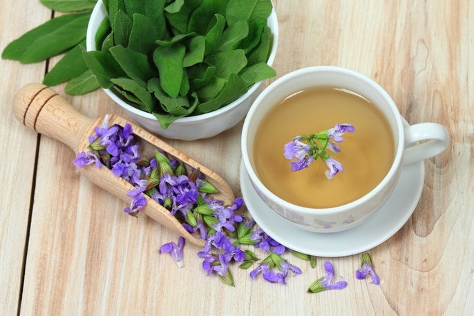 Salvia officinalis tea